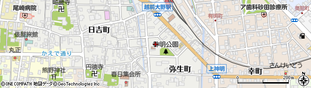 福井県大野市弥生町周辺の地図