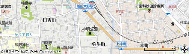 福井県大野市弥生町4周辺の地図