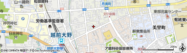 福井県大野市月美町1周辺の地図