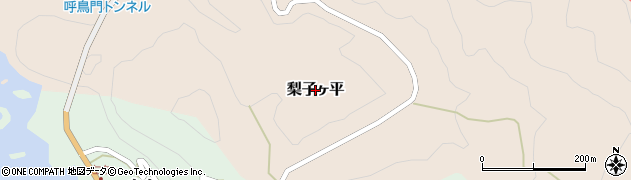 福井県越前町（丹生郡）梨子ヶ平周辺の地図