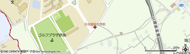 日本薬科大学前周辺の地図