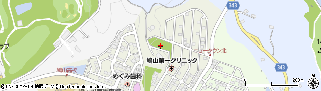 にんじゃ公園周辺の地図