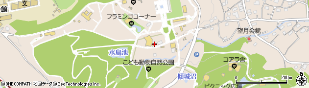 埼玉県東松山市岩殿482周辺の地図