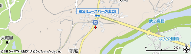 埼玉県秩父市寺尾3938周辺の地図