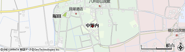 茨城県美浦村（稲敷郡）中野内周辺の地図