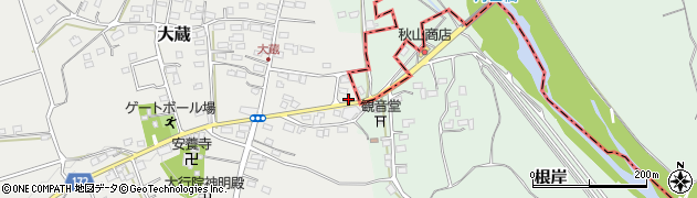 埼玉県比企郡嵐山町大蔵29周辺の地図