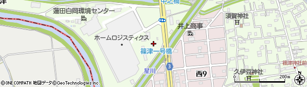埼玉県白岡市篠津1308周辺の地図