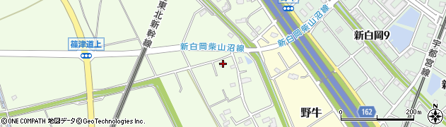 埼玉県白岡市篠津2808周辺の地図