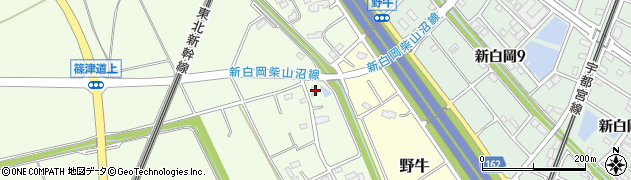 埼玉県白岡市篠津2811周辺の地図