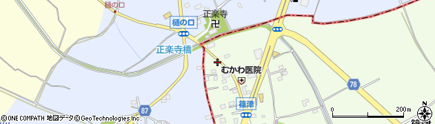埼玉県白岡市篠津28周辺の地図