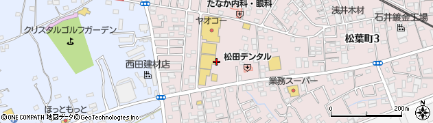 武蔵野銀行東松山シルピア ＡＴＭ周辺の地図