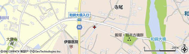 埼玉県秩父市寺尾272周辺の地図