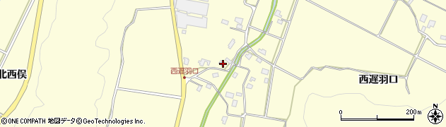 福井県勝山市鹿谷町西遅羽口12周辺の地図