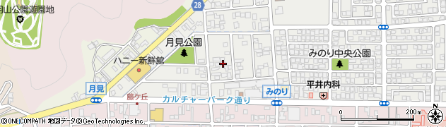 ヤングドライグループ　ヤングドライ新鮮館みのり店周辺の地図