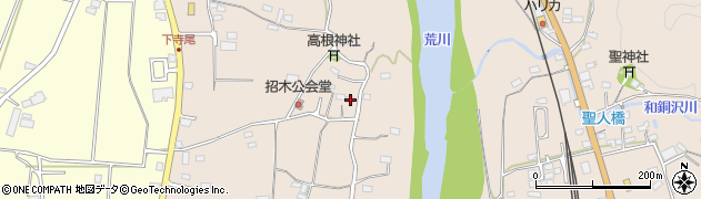 埼玉県秩父市寺尾182周辺の地図