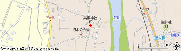埼玉県秩父市寺尾187周辺の地図