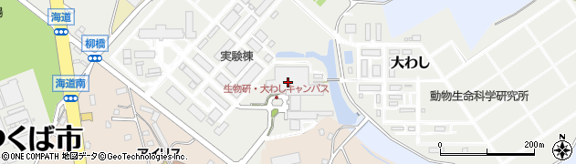 茨城県つくば市大わし1-2周辺の地図
