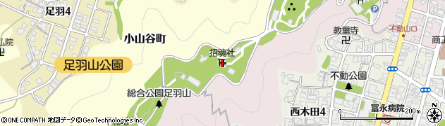 福井県福井市足羽上町34周辺の地図