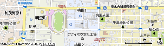 福井県福井市桃園周辺の地図