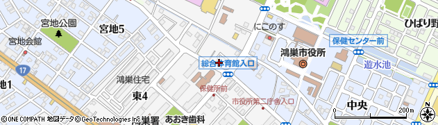 埼玉県鴻巣市鴻巣1115周辺の地図