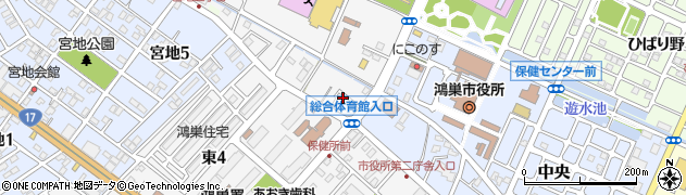 埼玉県鴻巣市鴻巣1113周辺の地図