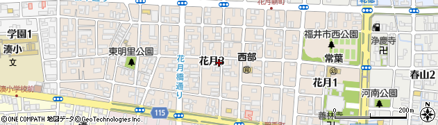 福井県福井市花月周辺の地図
