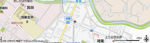 埼玉県鴻巣市鴻巣1169周辺の地図