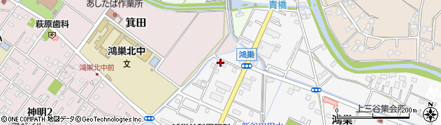 埼玉県鴻巣市鴻巣1211周辺の地図