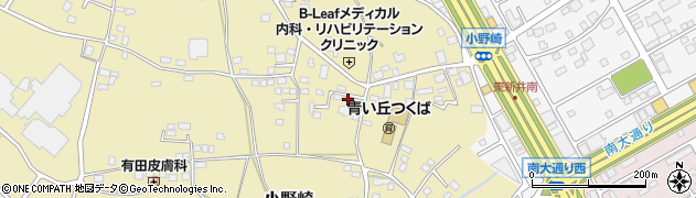 茨城県つくば市小野崎373周辺の地図