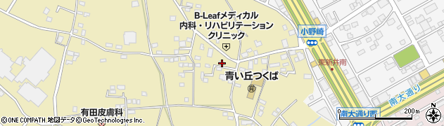 茨城県つくば市小野崎399周辺の地図