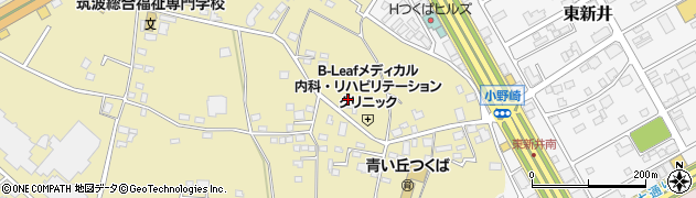 茨城県つくば市小野崎443周辺の地図