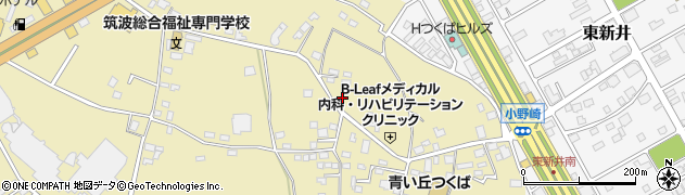茨城県つくば市小野崎440周辺の地図