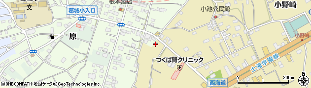 茨城県つくば市小野崎227周辺の地図