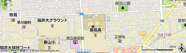 福井県立藤島高等学校周辺の地図