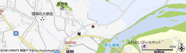 埼玉県秩父郡皆野町国神496周辺の地図