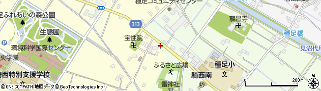 埼玉県加須市中種足3周辺の地図