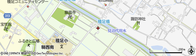 埼玉県加須市中種足163周辺の地図