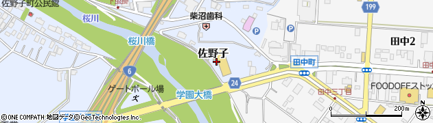 茨城県土浦市佐野子1169周辺の地図