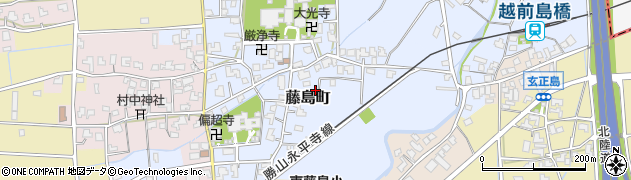 福井県福井市藤島町2周辺の地図