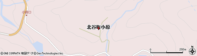 福井県勝山市北谷町小原周辺の地図