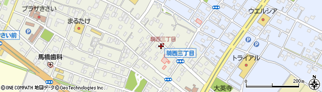 埼玉県加須市騎西1210周辺の地図