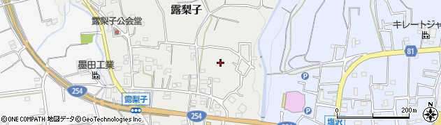 埼玉県寄居町（大里郡）露梨子周辺の地図