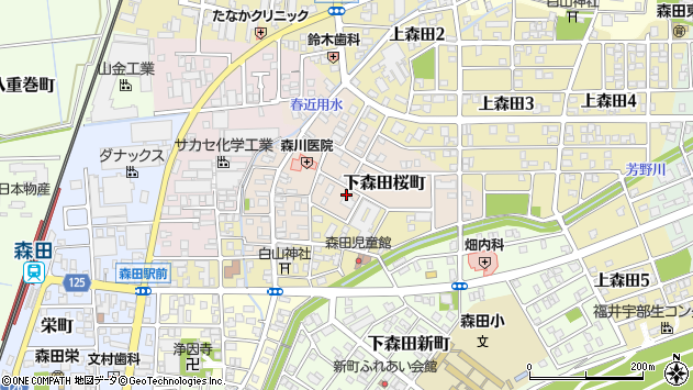 〒910-0146 福井県福井市下森田桜町の地図