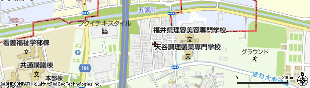 福井県永平寺町（吉田郡）松岡平成周辺の地図