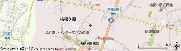 長野県塩尻市桔梗ケ原1306周辺の地図