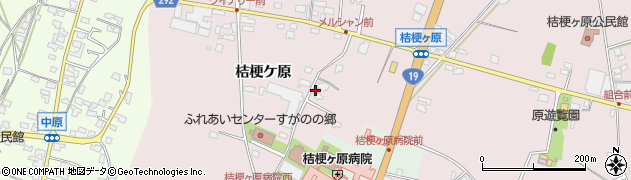 長野県塩尻市桔梗ケ原1337周辺の地図