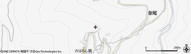 埼玉県大里郡寄居町金尾797周辺の地図