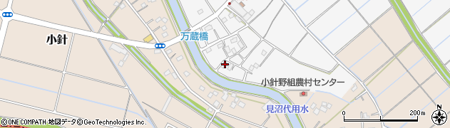埼玉県行田市真名板2197周辺の地図