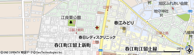 ヤングドライグループヤングドライ春江店周辺の地図