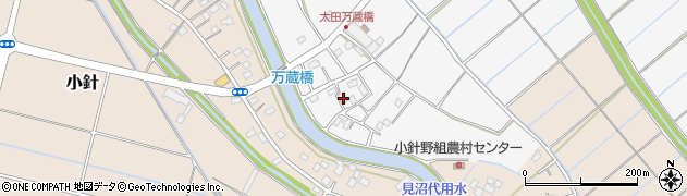 埼玉県行田市真名板2198周辺の地図